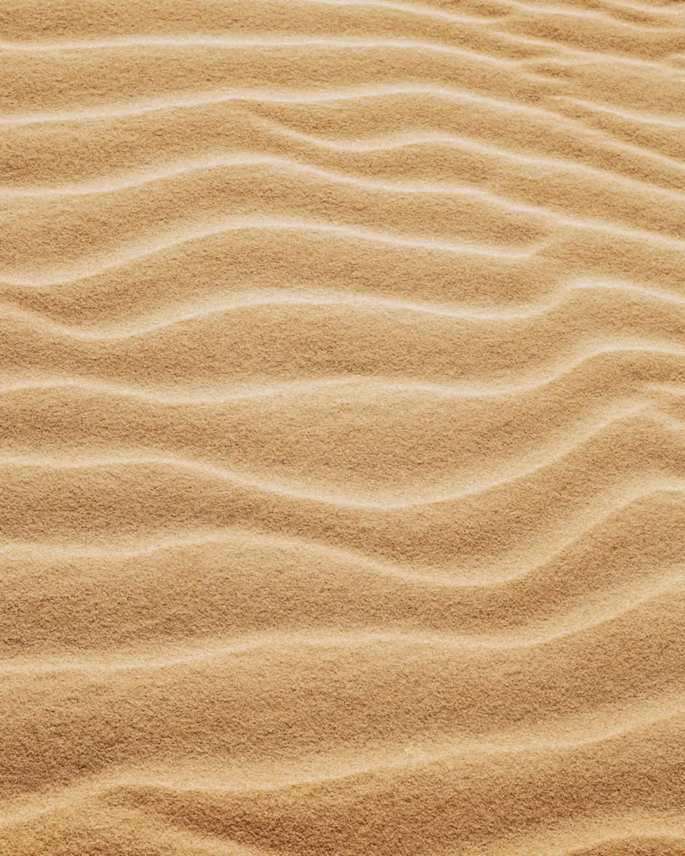 Ondas suaves dibujadas por el viento en la arena